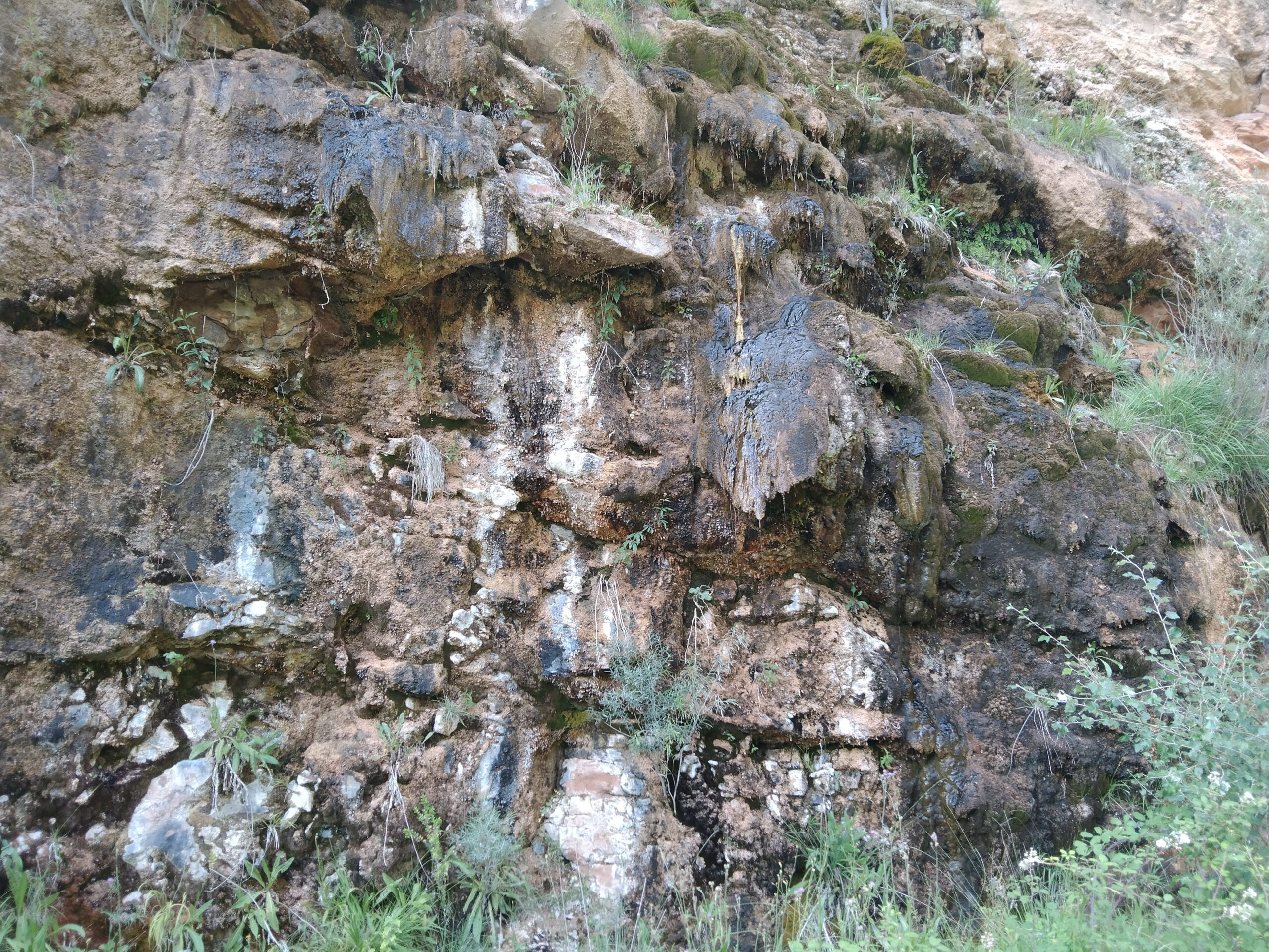 Inventari de fonts petrificants