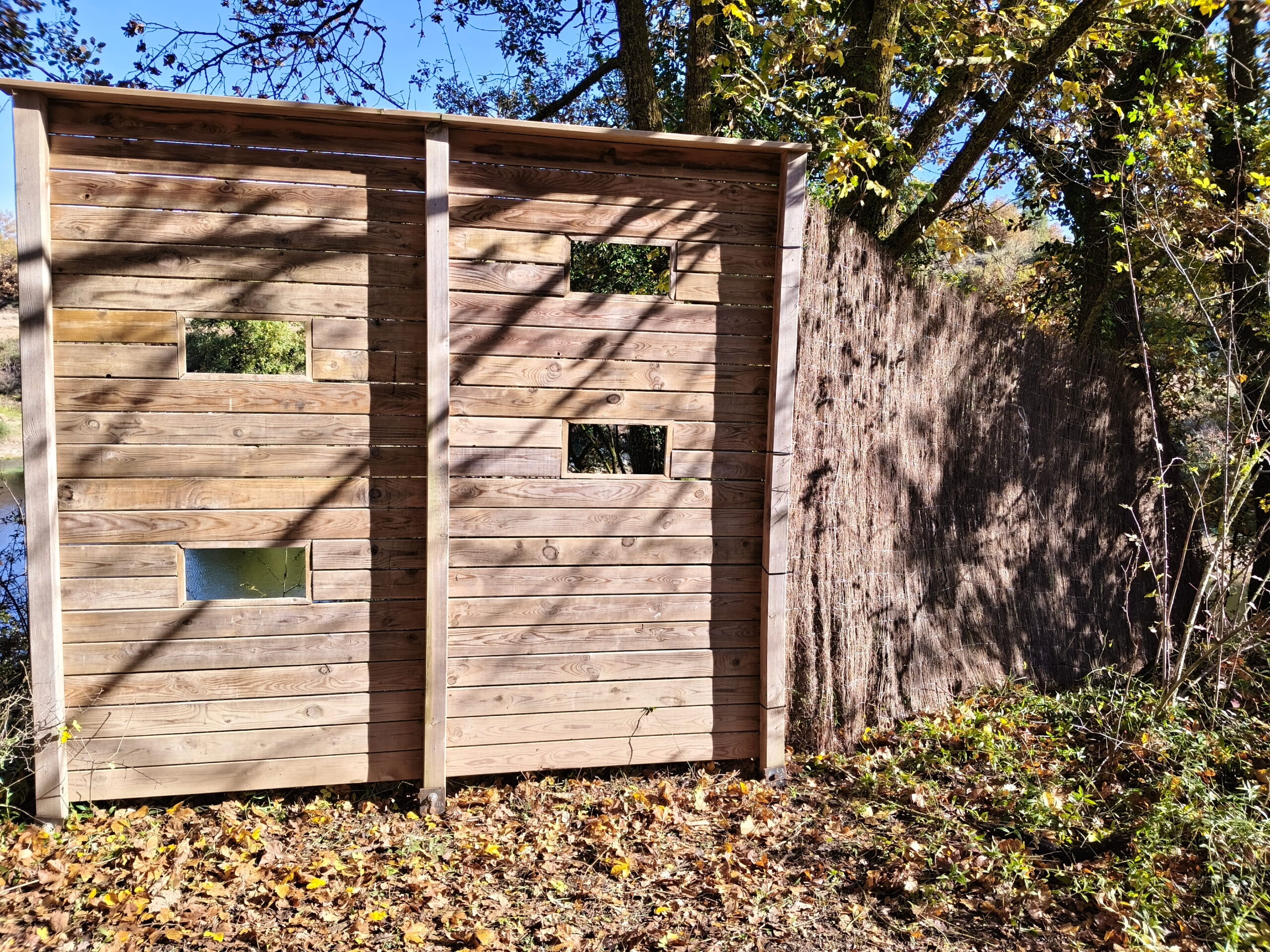 Projecte de conservació: la bassa del Miracle