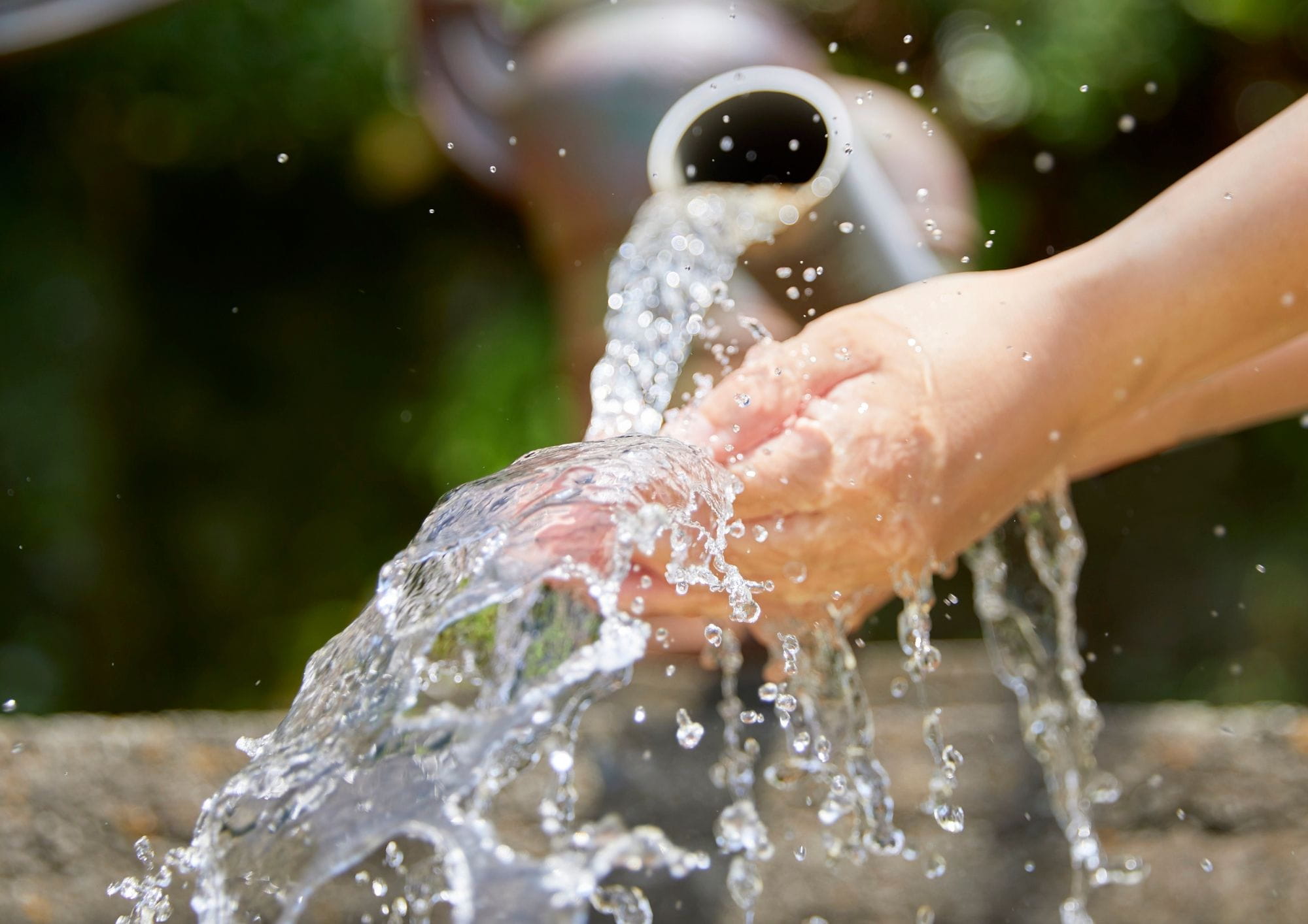 Centre d’Interpretació de l’Ametlla a Vilagrassa
