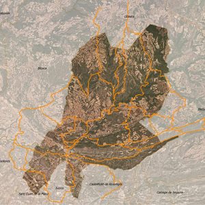 La senyalització com a eina per a regular l’ús públic