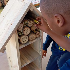 Creació d’hotels d’insectes