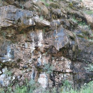 Inventari de fonts petrificants