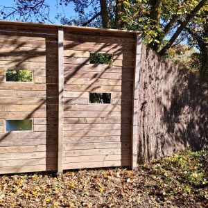 Projecte de conservació: la bassa del Miracle