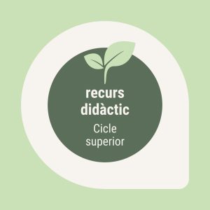 Recurs didàctic