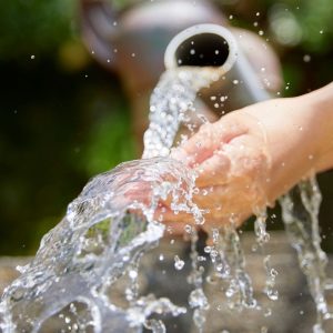 Centre d’Interpretació de l’Ametlla a Vilagrassa